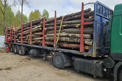 Лесовоз МАЗ